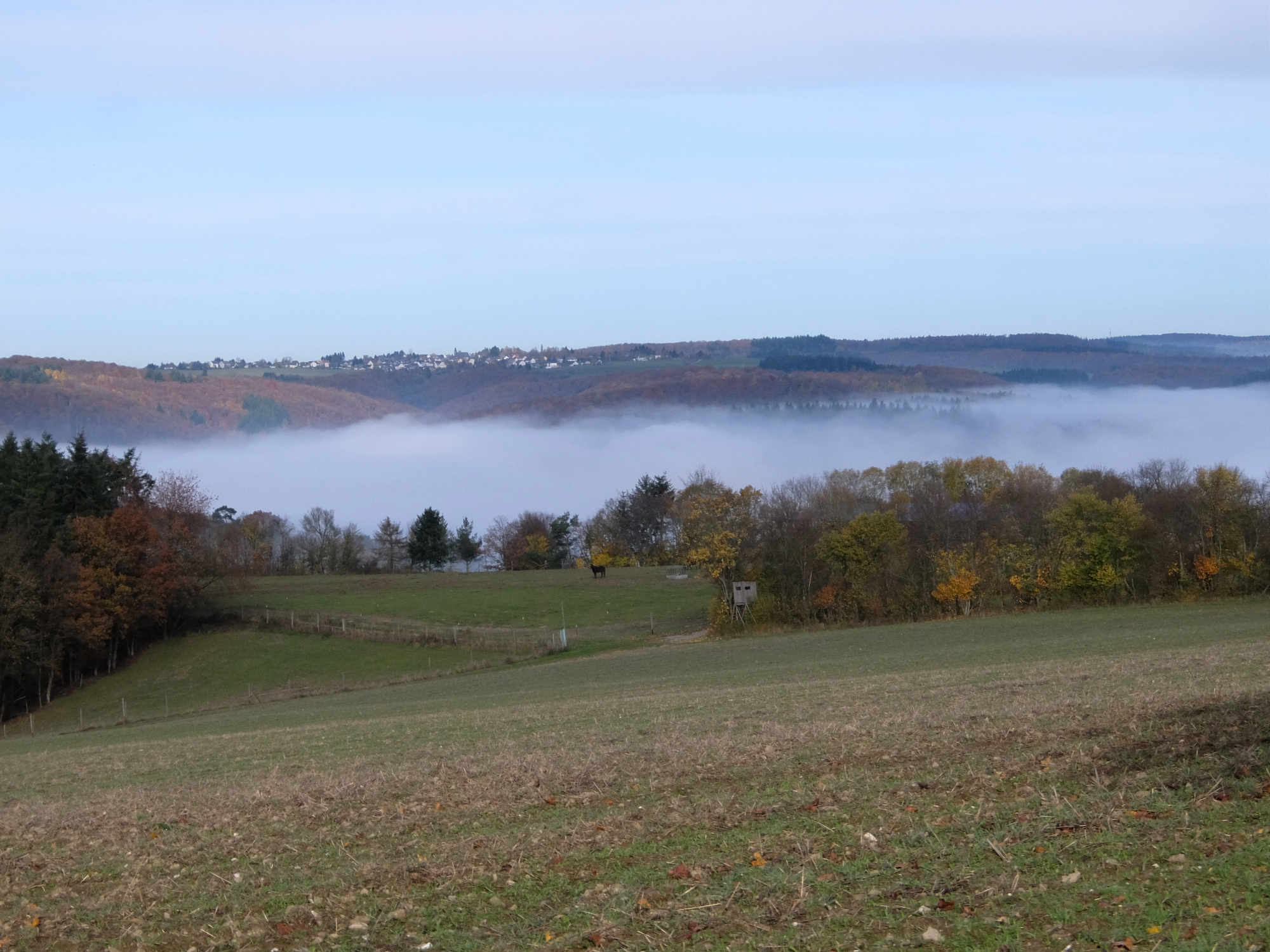 Unten Nebel, oben Sonnenschein